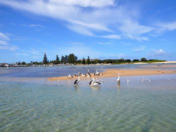 Ashley Court Unit 7 - Accommodation QLD 2