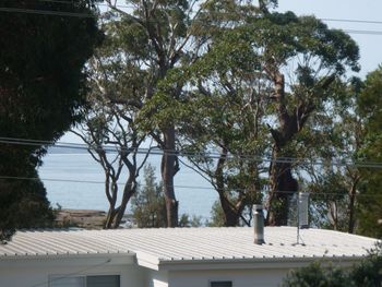 Bawley Break - Accommodation QLD 4