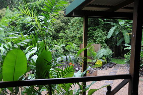 Wildwood - Accommodation QLD 3