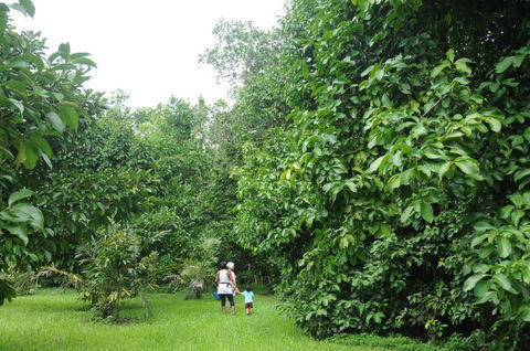 Wildwood - Accommodation QLD 1