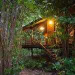 Wildwood - Accommodation QLD 0