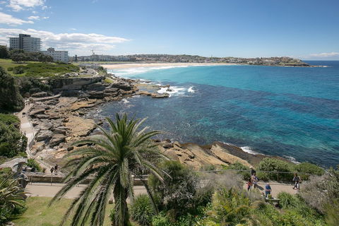 Ultimate Bondi Escape - Accommodation QLD 4