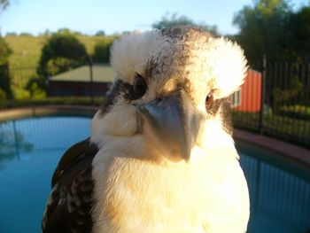 Belle La Vie B & B - Accommodation QLD 3