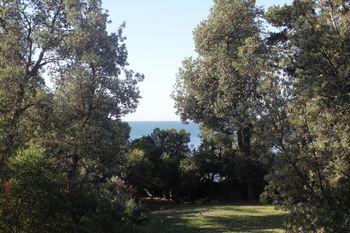 Uringah Rejuvenate Stays - Accommodation QLD 6