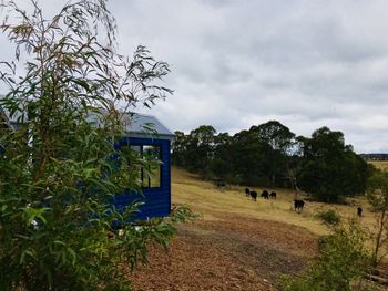 In2thewild Walden - Accommodation QLD 4