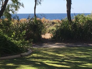 On The Shores Of Geographe Bay - Accommodation QLD 5