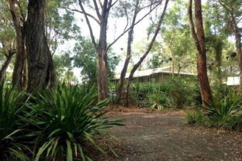 Port Stephens Koala Sanctuary - Accommodation QLD 2