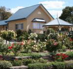 Willows Motel - Accommodation QLD