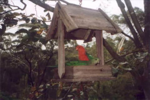 Arcadia Cottage - Accommodation QLD 2