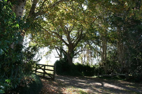 Maleny Mountain Retreat - Accommodation QLD 0