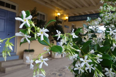 The Globe Inn - Accommodation QLD 2