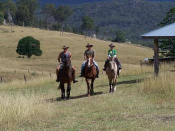 Lillydale Farmstay - Accommodation QLD 0