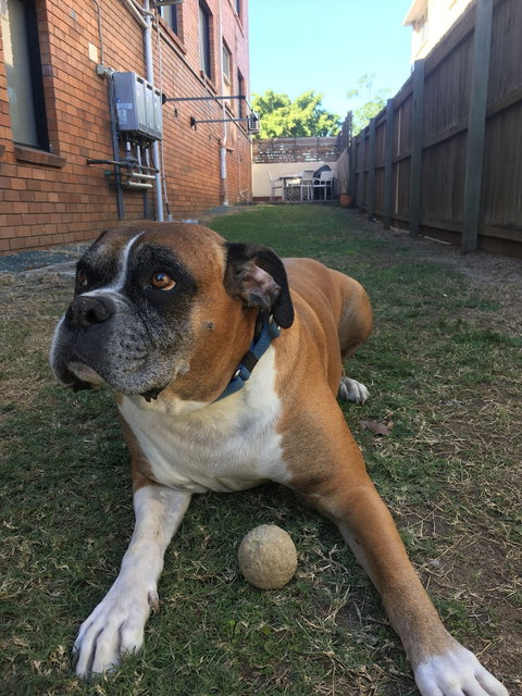 Kingsford Riverside Inn - Accommodation QLD 6