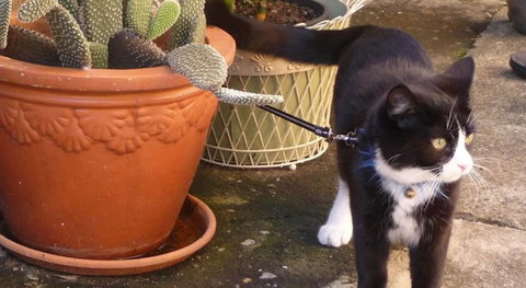 Kingsford Riverside Inn - Accommodation QLD 4