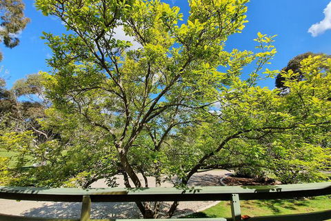 Annies Holiday Units - Accommodation QLD 2