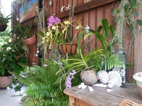 Clifton Sands Holiday Apartments - Accommodation QLD 1