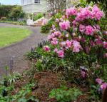 Anabels of Scottsdale - Accommodation QLD