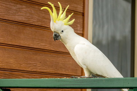 BIG4 Moruya Heads Easts Dolphin Beach Holiday Park - Accommodation QLD 3