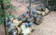 Licuala Lodge - thumb 4