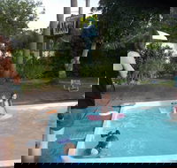 Corlette Palms Motor Inn - Accommodation QLD