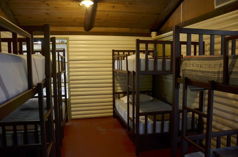 PKs Jungle Village - Hostel - Accommodation QLD 6