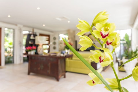 Alaya Verde - Accommodation QLD 1