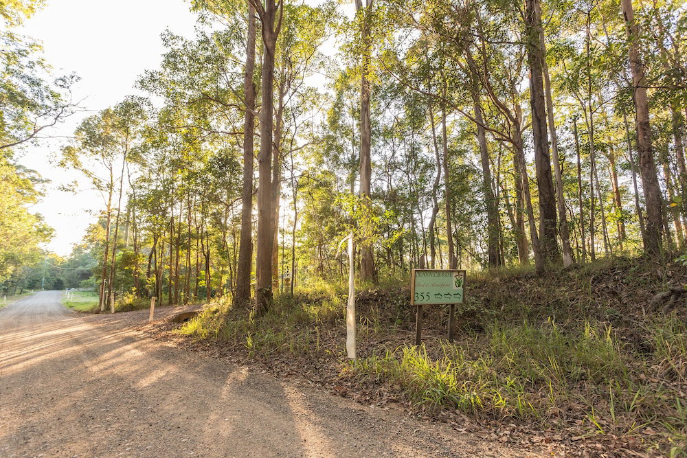 Ringtail Creek QLD Accommodation QLD