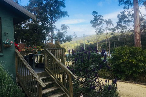 Classic Cottages Port Arthur - Accommodation QLD 2