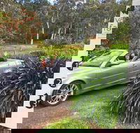 Valley Farm Vineyard Cottages - Accommodation QLD