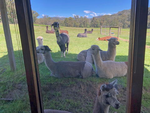 Valley Farm Vineyard Cottages - Accommodation QLD 2