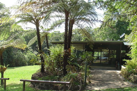 Chambers Wildlife Rainforest Lodges - Accommodation QLD 3