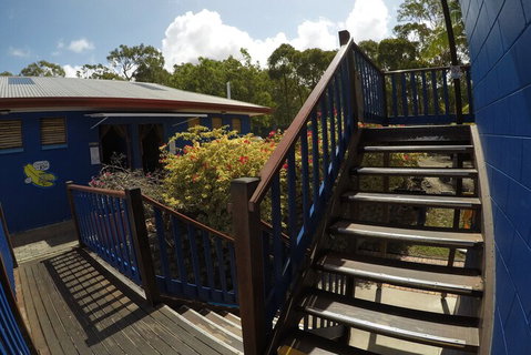 Cool Bananas Backpackers - Accommodation QLD 5