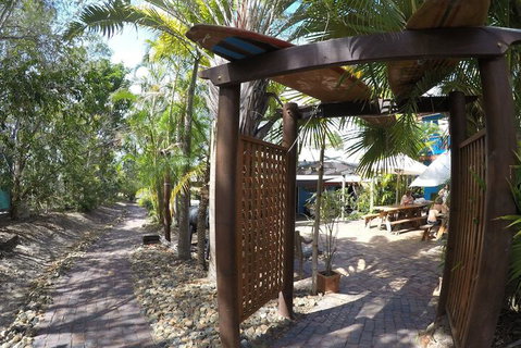 Cool Bananas Backpackers - Accommodation QLD 6