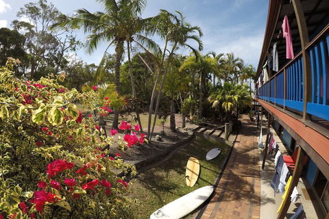 Cool Bananas Backpackers - Accommodation QLD 2