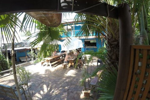 Cool Bananas Backpackers - Accommodation QLD 0