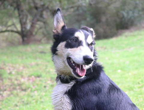 Johanna River Farm & Cottages - Accommodation QLD 4