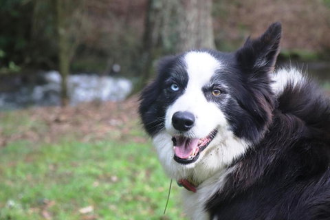 Johanna River Farm & Cottages - Accommodation QLD 3