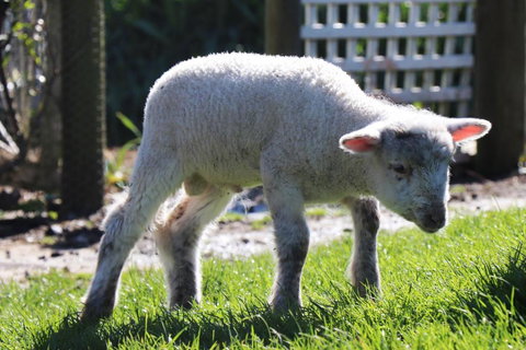 Johanna River Farm & Cottages - Accommodation QLD 2