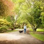 Johanna River Farm & Cottages - Accommodation QLD 0