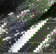 Ivy on Glenelg - Accommodation QLD