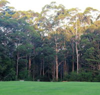 Tinglewood Cabins - Accommodation QLD
