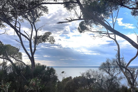 Wanderers Rest Of Kangaroo Island - Accommodation QLD 7