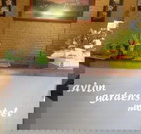 Avlon Gardens Motel - Ballina - Accommodation QLD