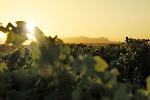 Adina Vineyard - Accommodation QLD 1