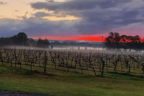 Adina Vineyard - Accommodation QLD 4