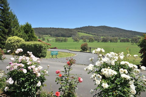 Langbrook Estate Cottages - Accommodation QLD 1