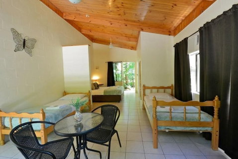 Lync Haven Rain Forest Retreat - Accommodation QLD 3