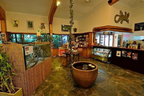 Lync Haven Rain Forest Retreat - Accommodation QLD 0