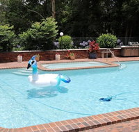 Mt Tamborine Motel - Accommodation QLD