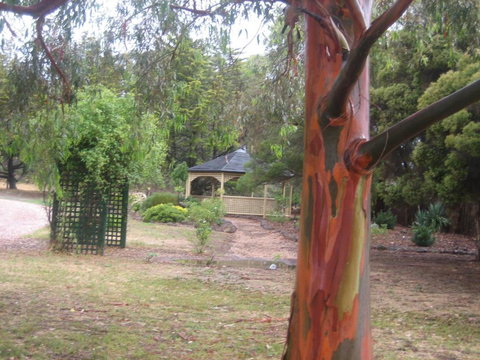 Golden Hills Motel - Accommodation QLD 6